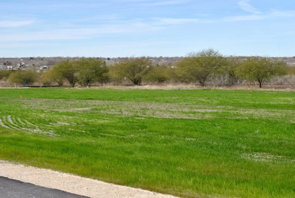 large open field with trees in the background