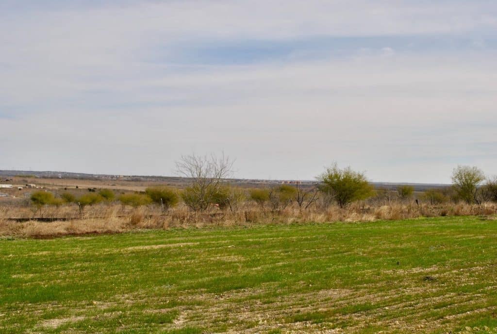 large open field with a few trees in the distance