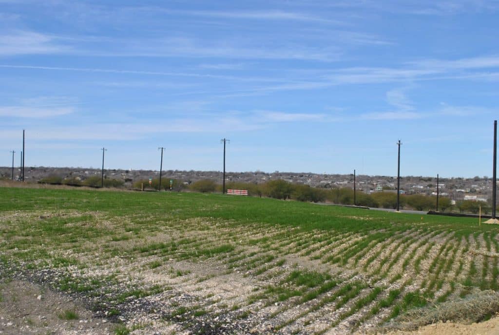 a field with a lot of grass in the middle of it