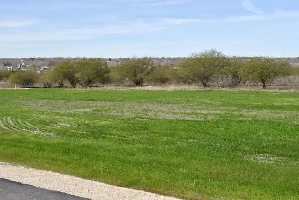 a large open field with trees in the background